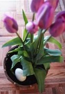 tulips and egg
