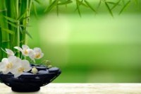 fengshui prosperity