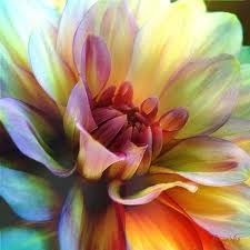 flower yearn